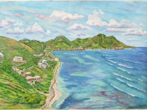 Grape Tree Bay from the Lookout Point, St Croix USVI