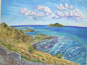 Point Udal looking north to Buck Island, St. Croix, USVI