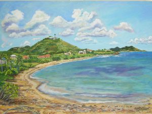 Shoys Beach, St Croix USVI