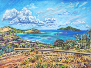 New! - Point Udal Scenic Lookout from Guard Rail - looking north to Buck Island, St. Croix USVI