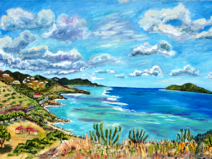 New! - Point Udal Lookout West to Cramers Park, St. Croix USVI