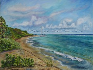 Coakley Beach looking West with Big Beard's Cat boat, St Croix USVI, St. Croix, USVI