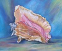 Conch Shell still life