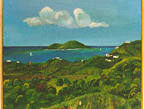 Buck Island, St Croix USVI