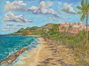 Candle Reef from Miss Bea Road beach, St. Croix USVI