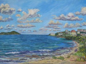 Coakley Bay Estate and Buck Island, St Croix USVI, St. Croix, USVI