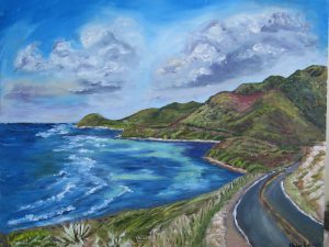 Grassy Point Hill looking West, St. Croix, USVI